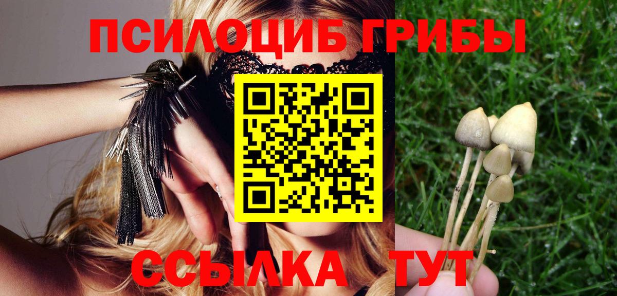 Свободный  Галлюциногенные грибы мицелий  Вход с VPN  Галлюциногенные грибы ЛСД 